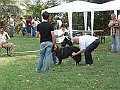 img 085